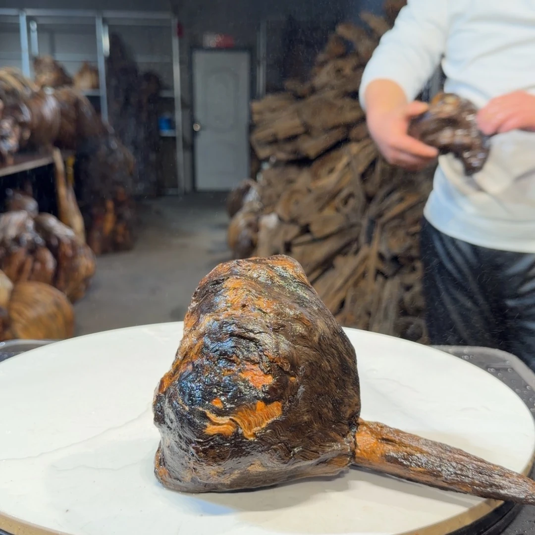 用***2木王一刀琥珀木摆件161