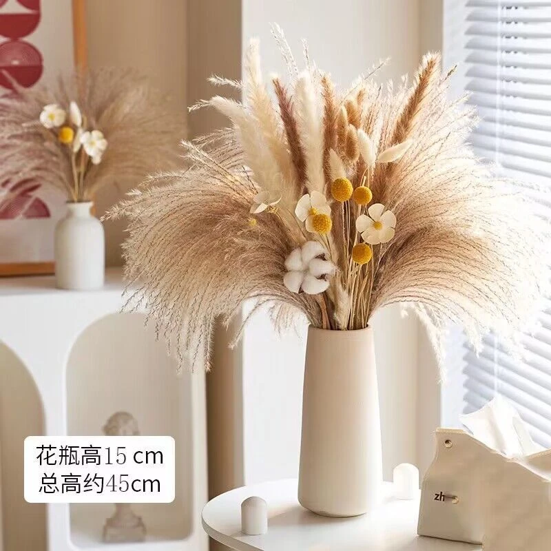 拂尘兔尾草天然干花花束批发真潘帕斯草云南工厂亚马逊蒲苇小芦苇