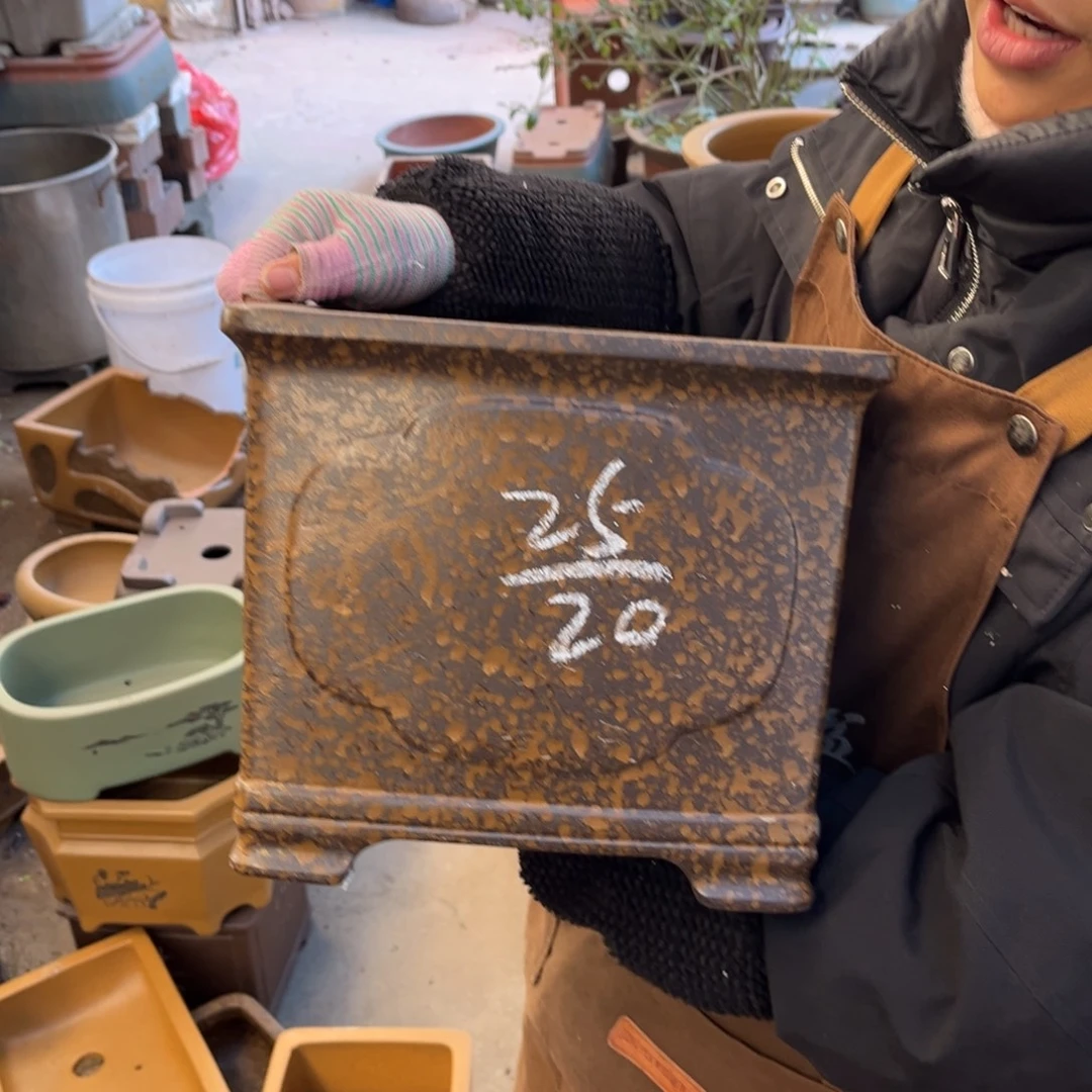 花盆紫砂盆景艺术