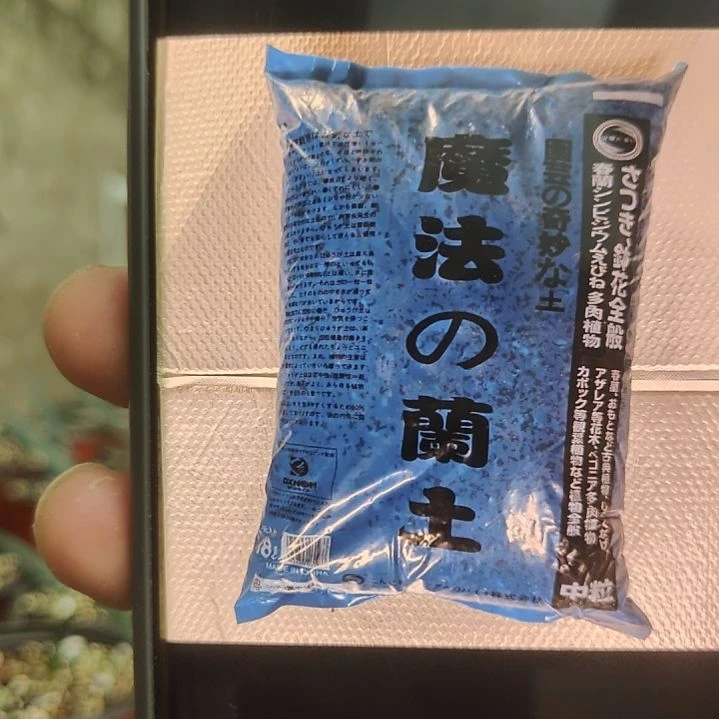 魔法兰土3/6   18