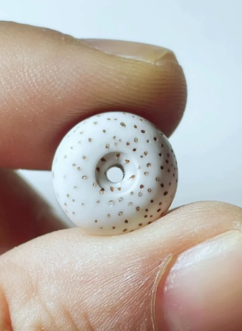 海南星月菩提月朗星稀专拍链接