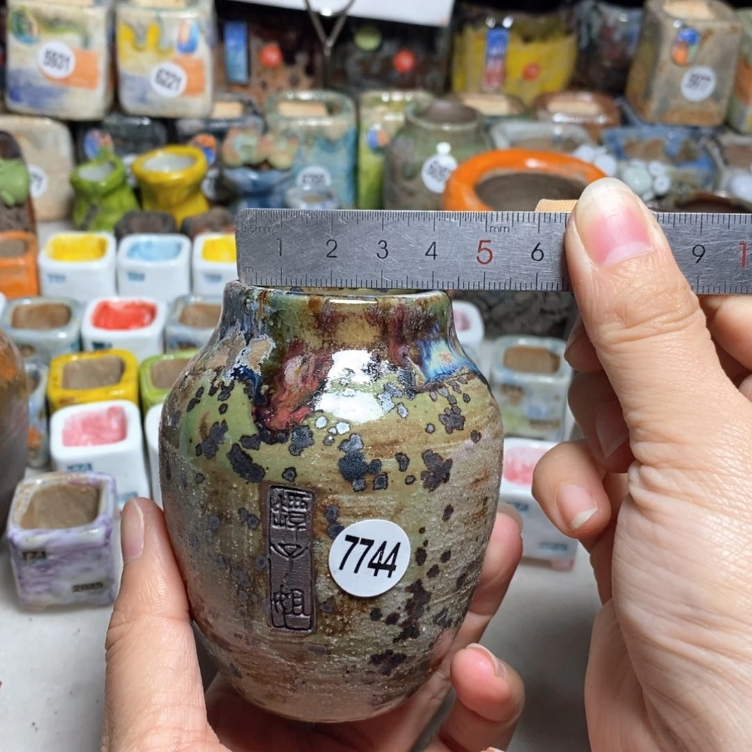 拍3送一个小礼物