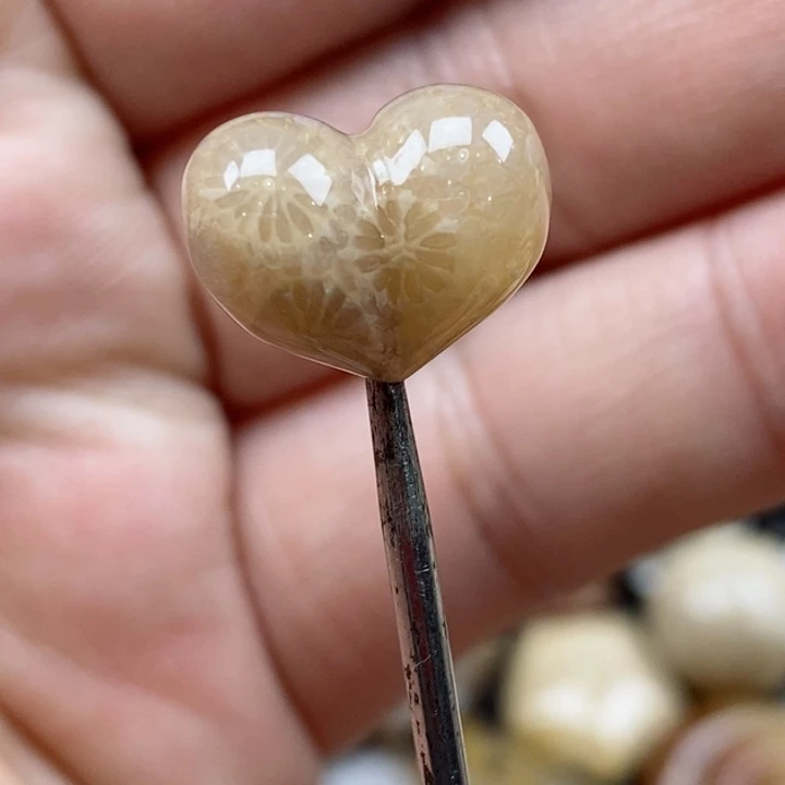 颈饰未镶嵌硅化珊瑚（珊瑚玉）小