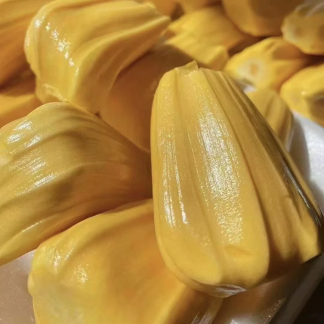 越南红肉菠萝蜜8-12斤干苞大黄肉脆甜可口新鲜热带水果