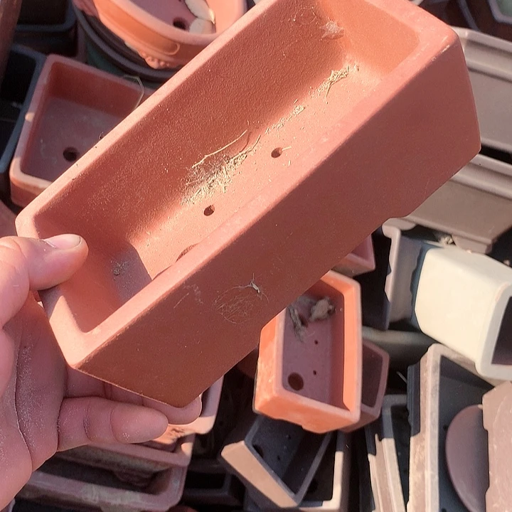 紫砂没有那么好吃我的人生