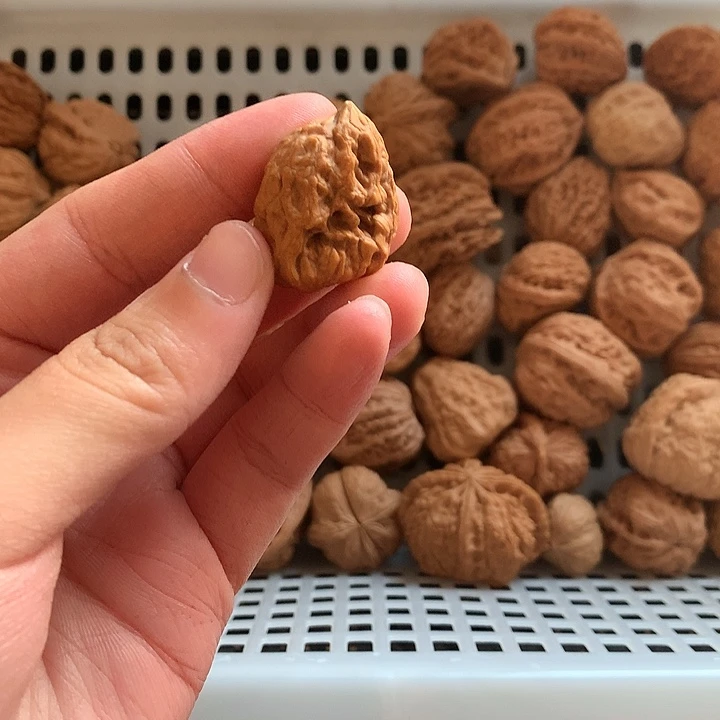 丰***军吊坠文玩核桃瓜子