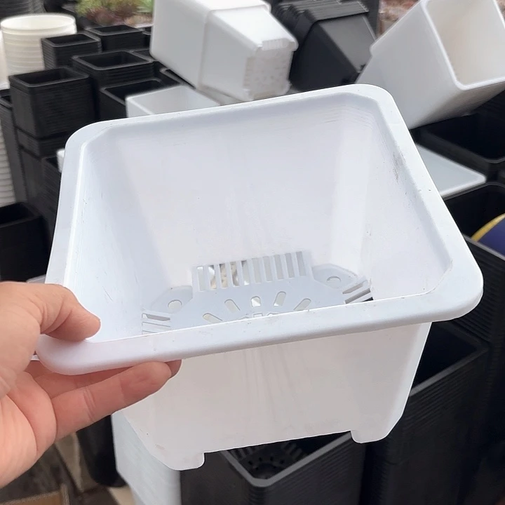 220白方盆12个口径21厘米高14厘米