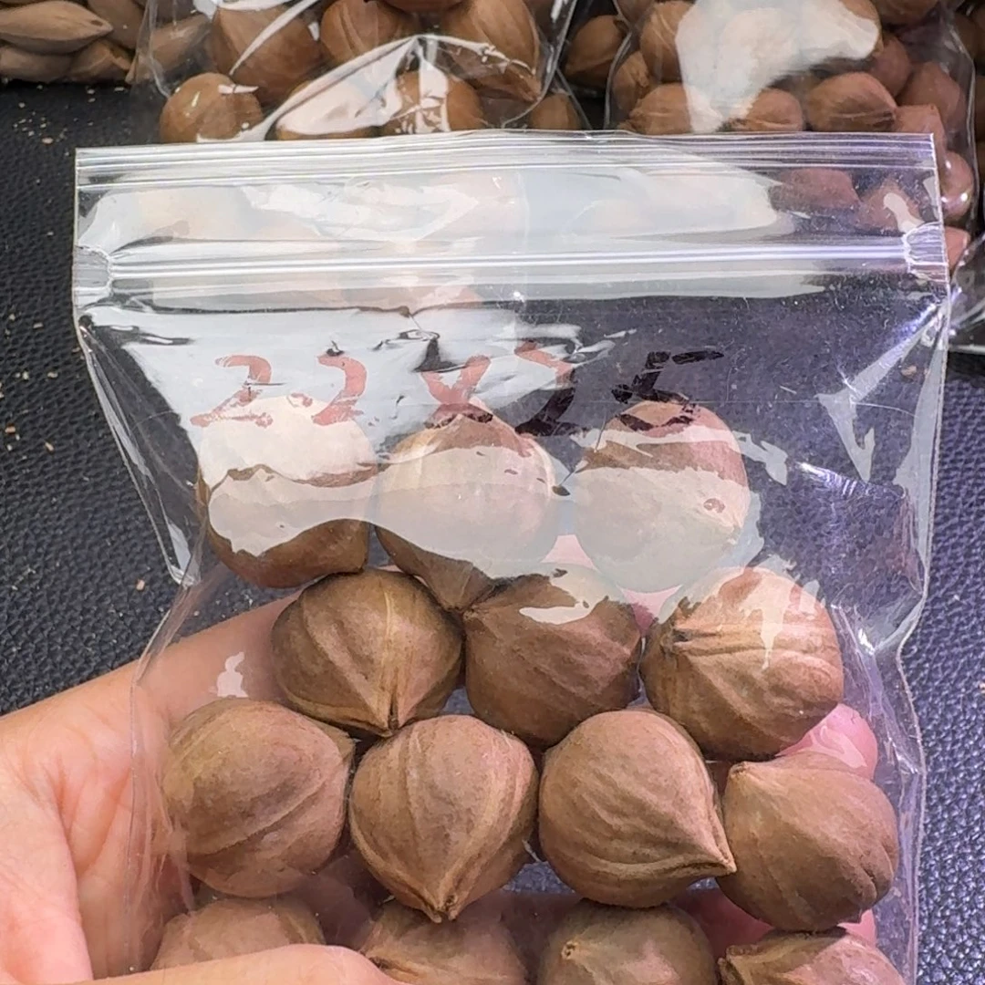 行***鱼手串/手链橄榄核1