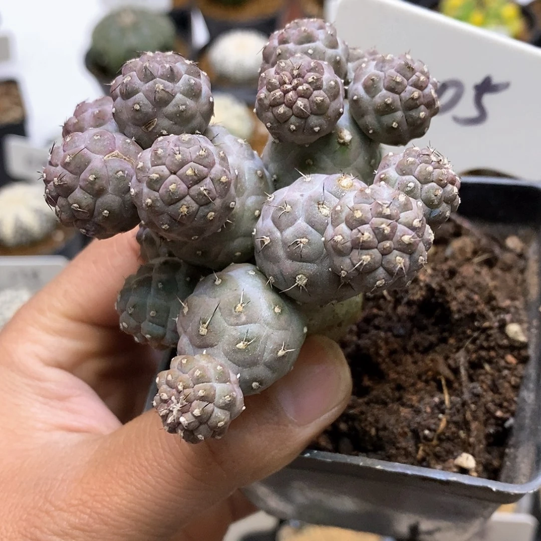 福利特价来了啊福利了特价款