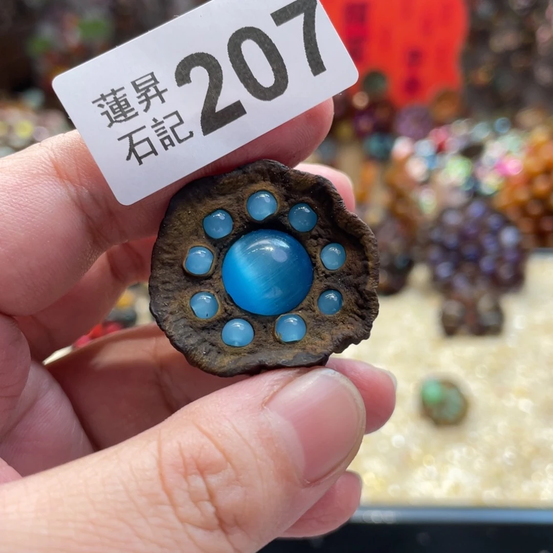 核桃木/黑胡桃（胡桃木）安****子207