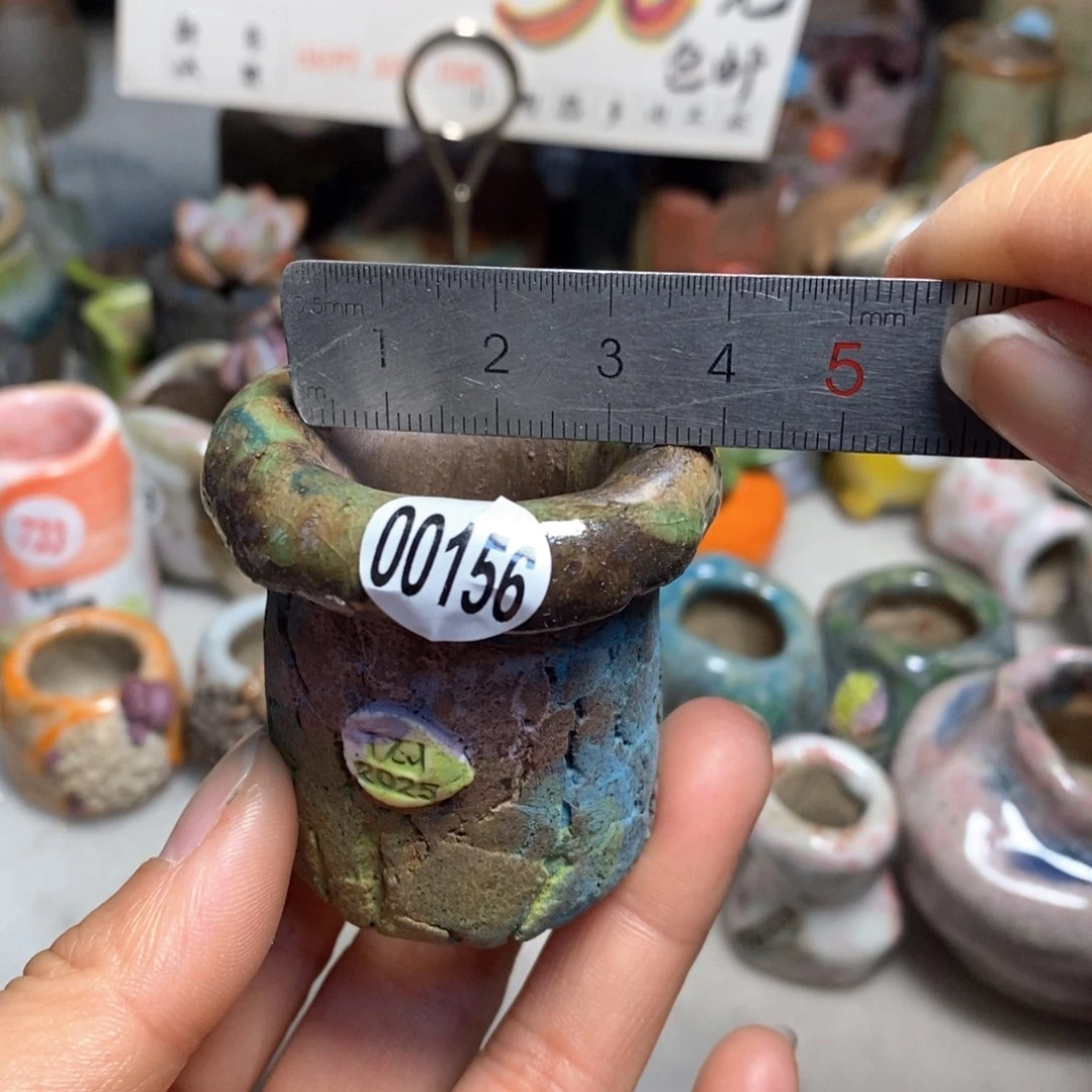 花盆拍3送一个小礼物