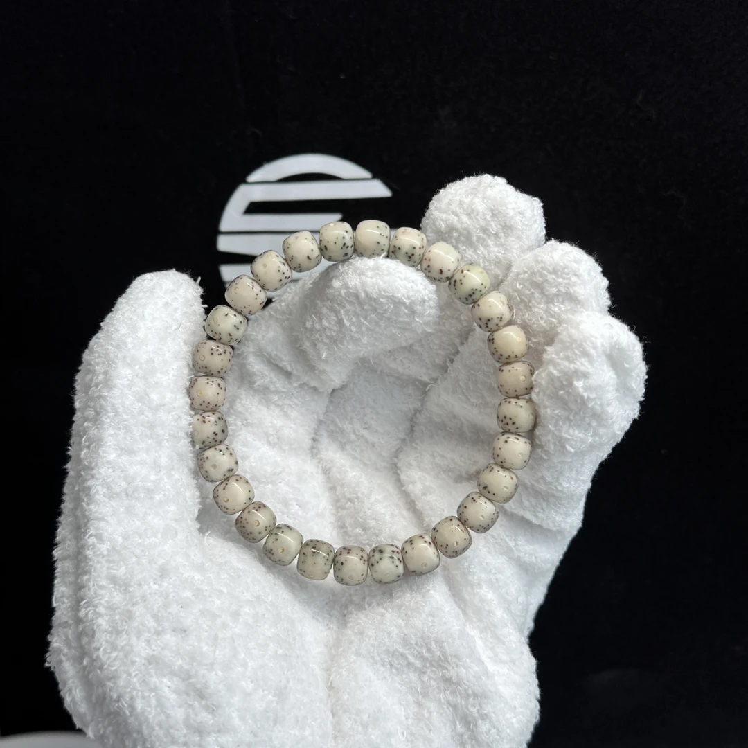 【石玉通体大留白-精英款】 海南原生态 星月菩提 同枝果