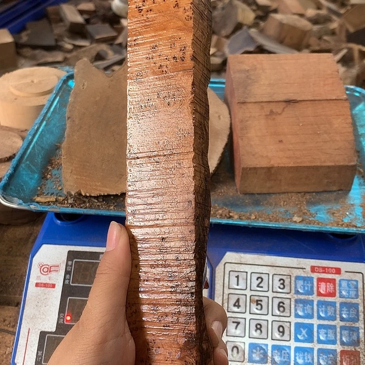 木077鬼柳满瘤豹纹一个