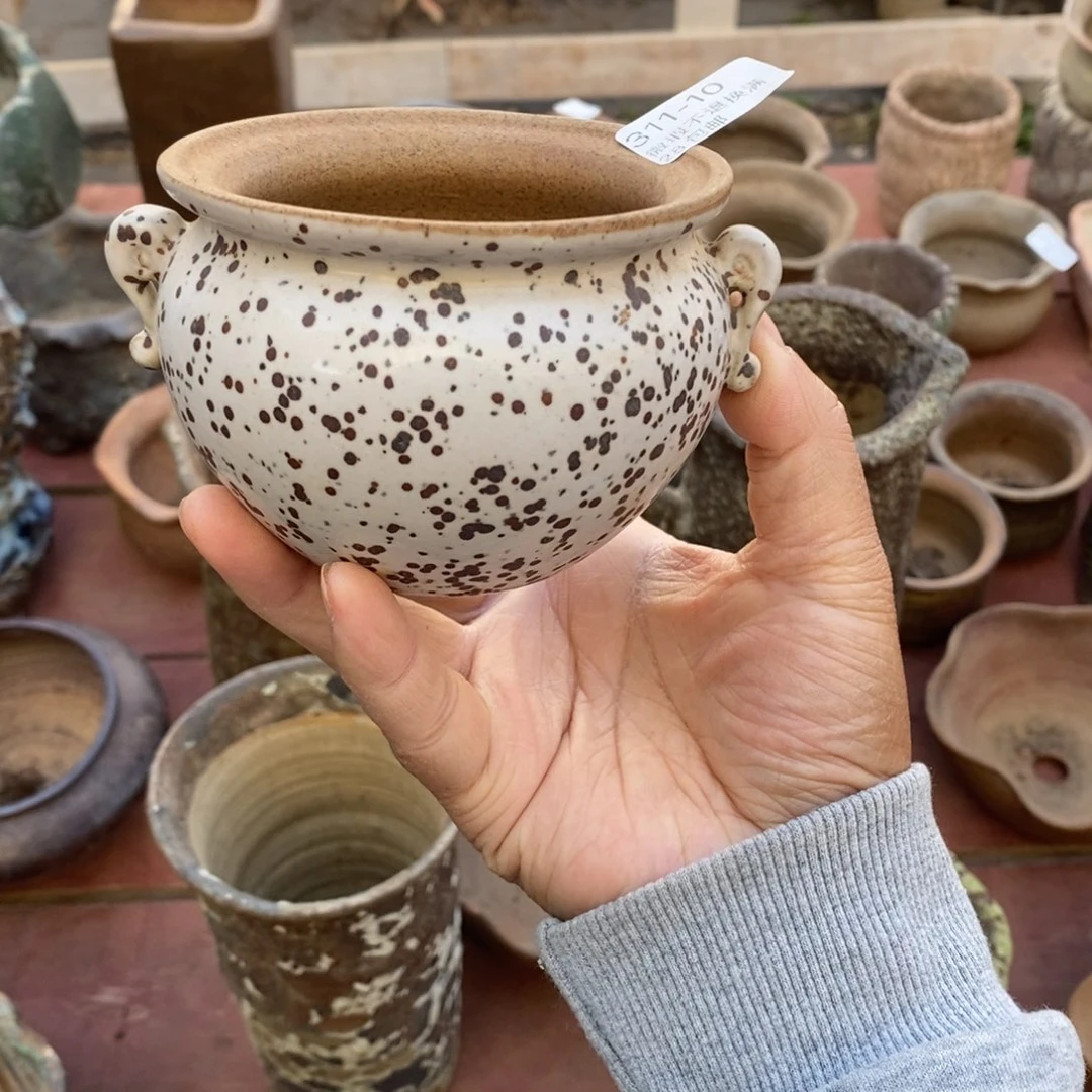 红陶10号多肉盆一个