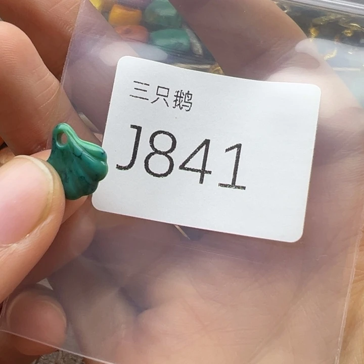 吊坠菩提根/象牙果