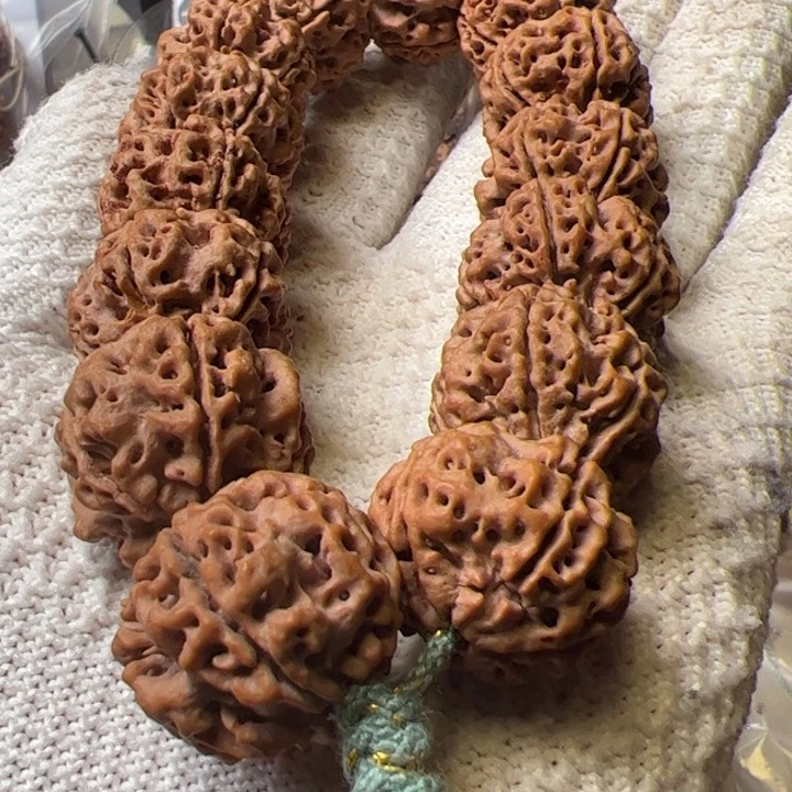 金刚菩提手串23➕雪山铁籽蜂窝梅花双龙超头