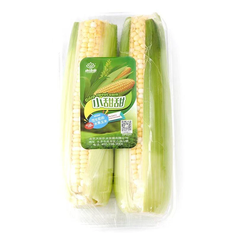 小汤山小甜甜玉米2根装 约500g