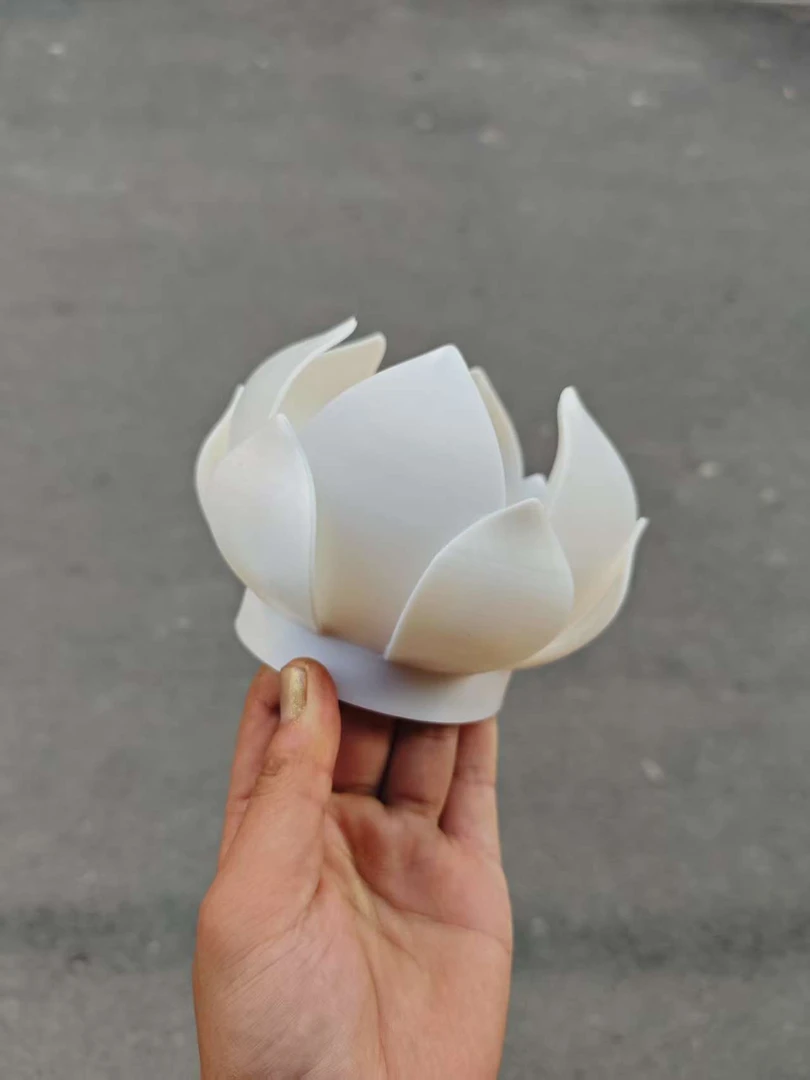 主播同款大号莲花冠14cm直径