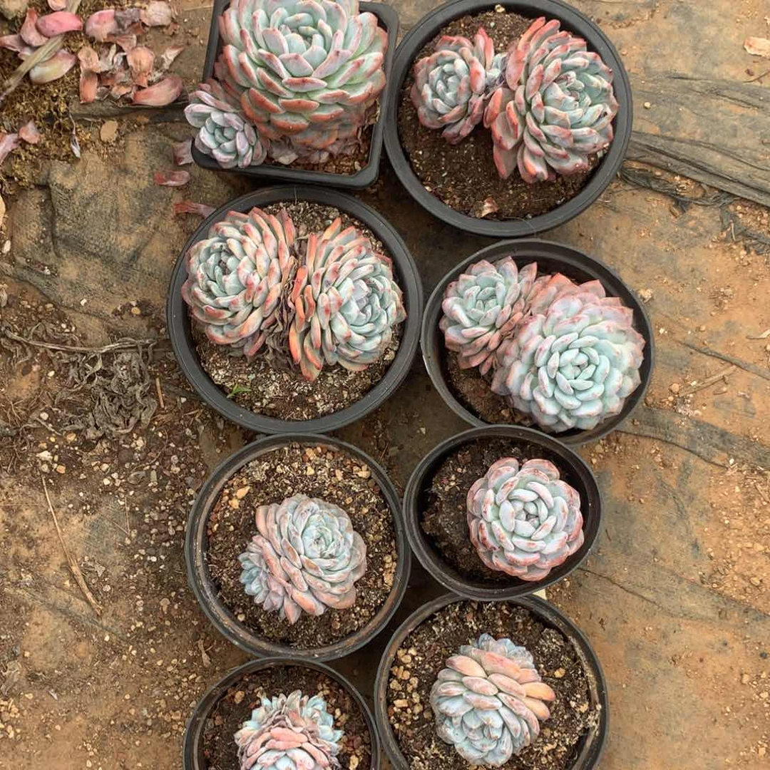 哈哈哈哈哈哈哈哈哈哈哈