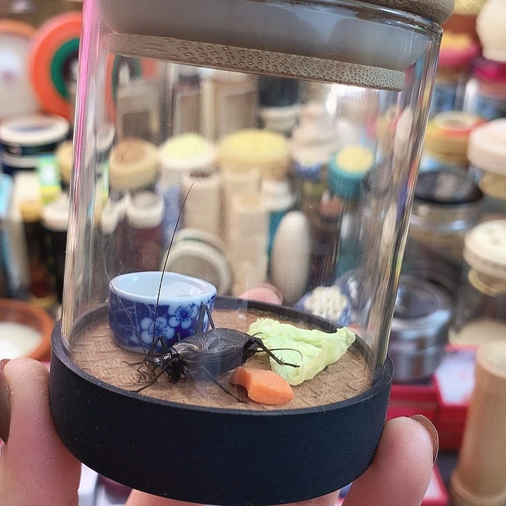 轩***鱼差价麒麟套装啊啊啊啊