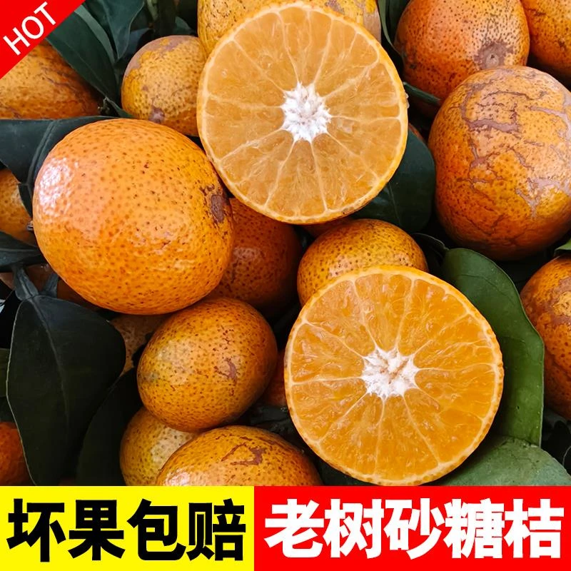 老树金秋砂糖橘当季新鲜水果桔子坏果包赔现摘现发甜沙糖桔顺丰