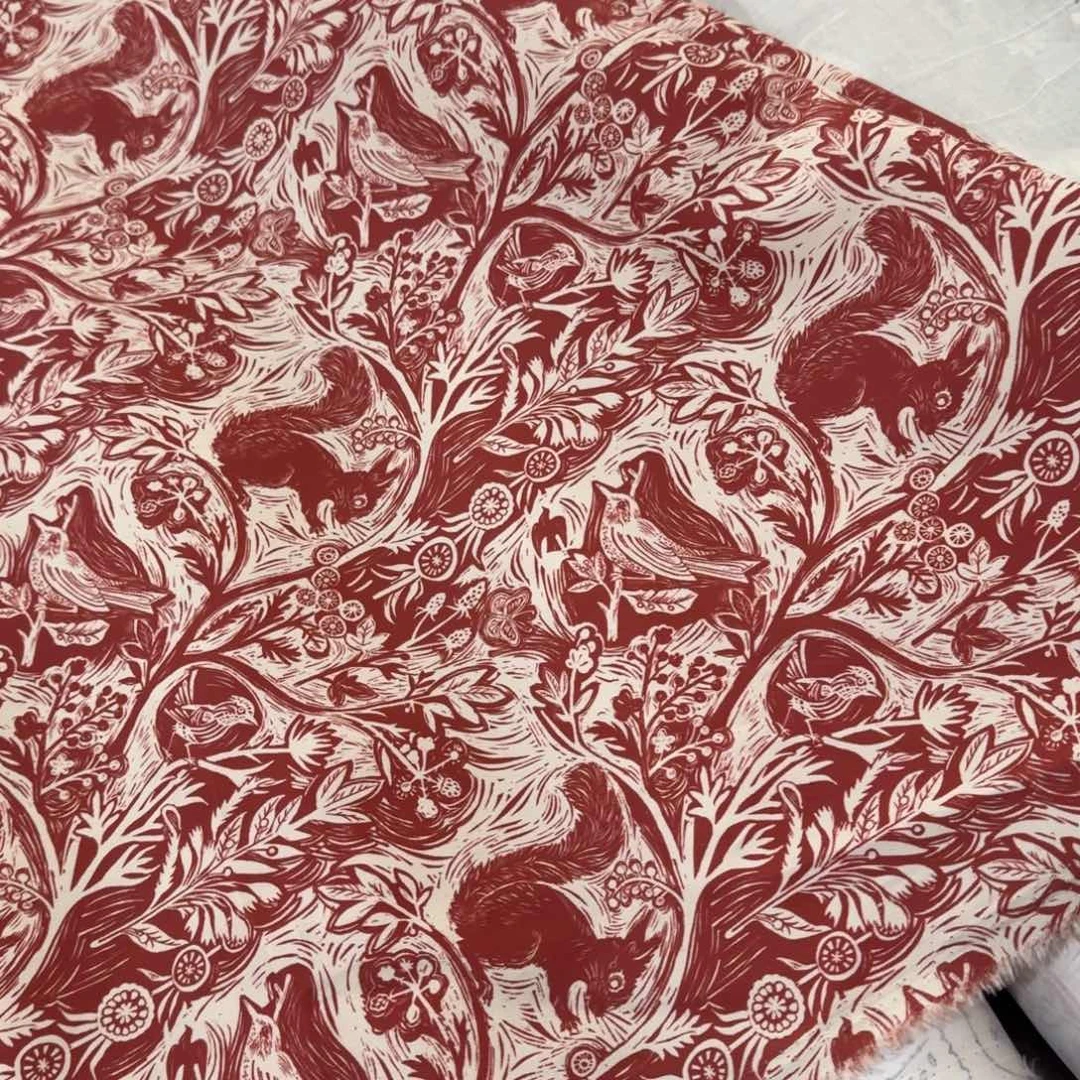 棉镇店之宝纯棉双层府绸1米价X1.4米宽D