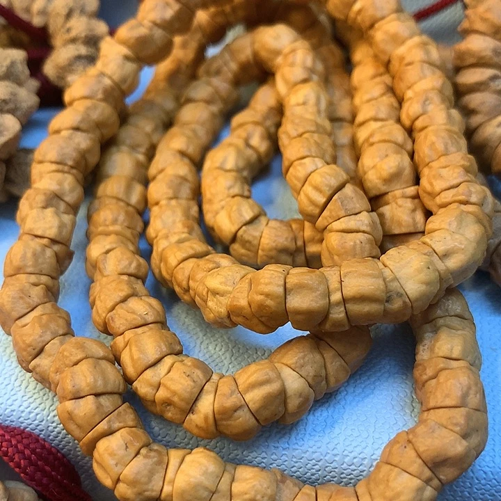 兵*几何大肠108长串卡7