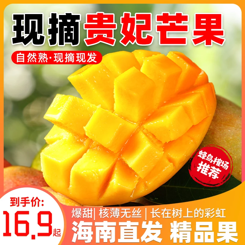【蜂鸟榷场推荐】正宗海南贵妃芒3-8.5斤海南直发精品果