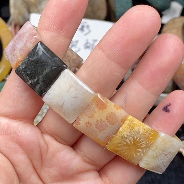 硅化玉未镶嵌颈饰