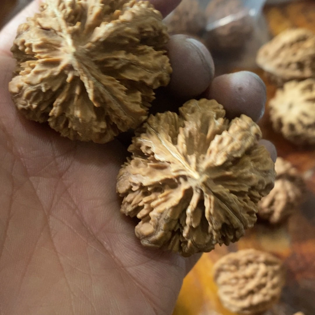 秦岭森林茂密和植被覆盖