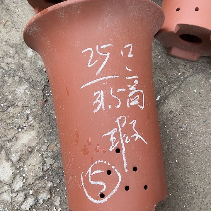 周深周深周深周深周深