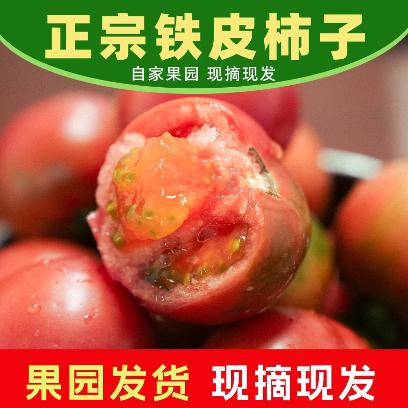 买四斤送一斤到手5斤正宗丹东铁皮草莓柿子盐碱地绿腚新鲜番茄