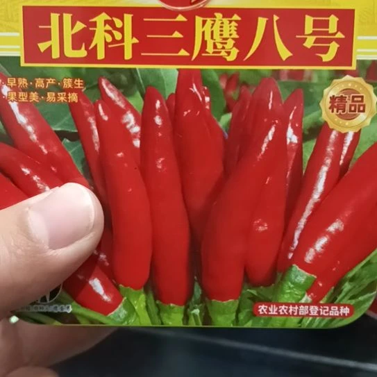 中国大陆河南省商丘市柘城县辣椒大市场807