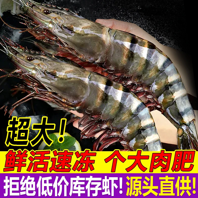 印度大虾黑虎虾新鲜/超大鲜活速冻海鲜水产特大基围虾竹斑九节虾