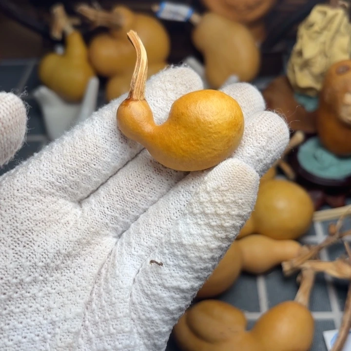 H****66666666666666666