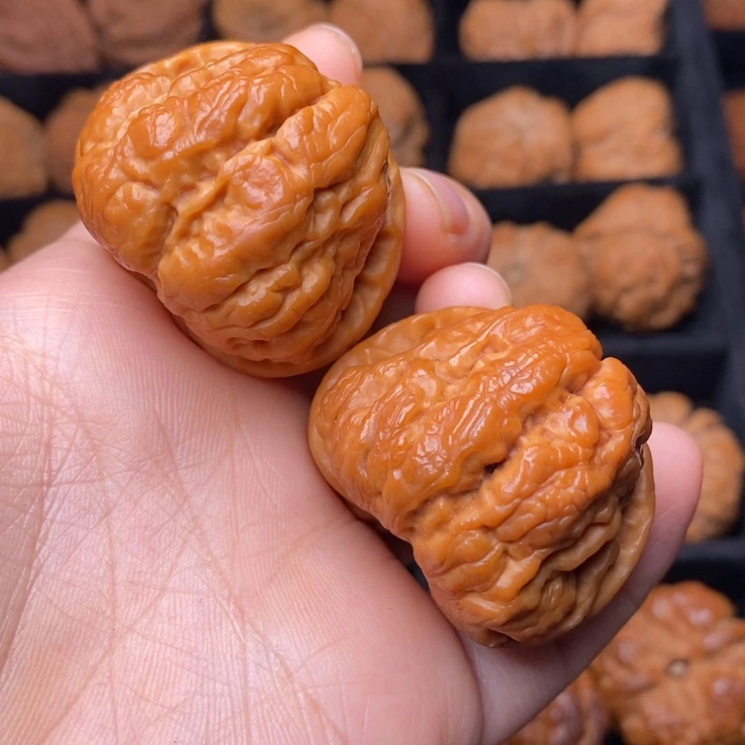 文玩核桃把件秦岭野生核桃