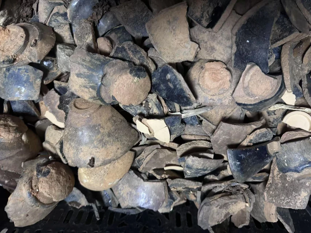 老盏学习瓷片一片