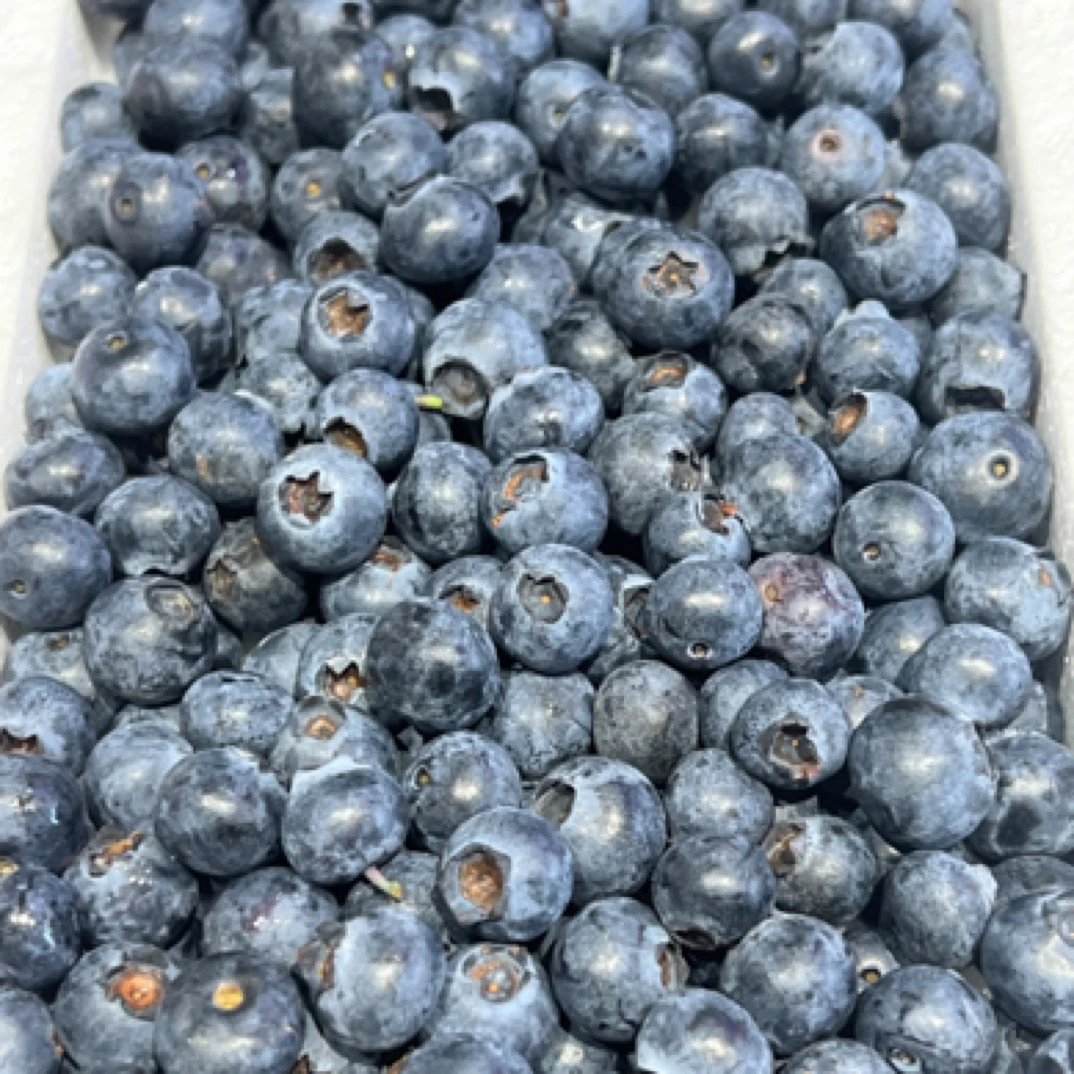 花香蓝莓一盒超甜新鲜采摘一斤