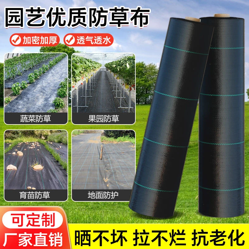 果园果树防草布除草布农用地膜单张打孔防晒老化遮盖草耐用地布钉