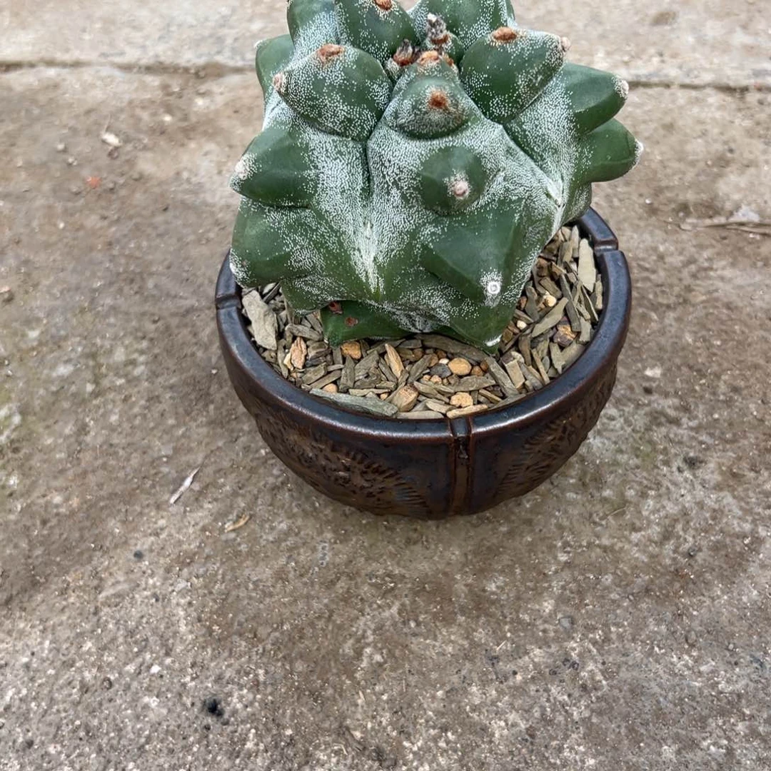 货****多角尤，售后补差价wwwwwww