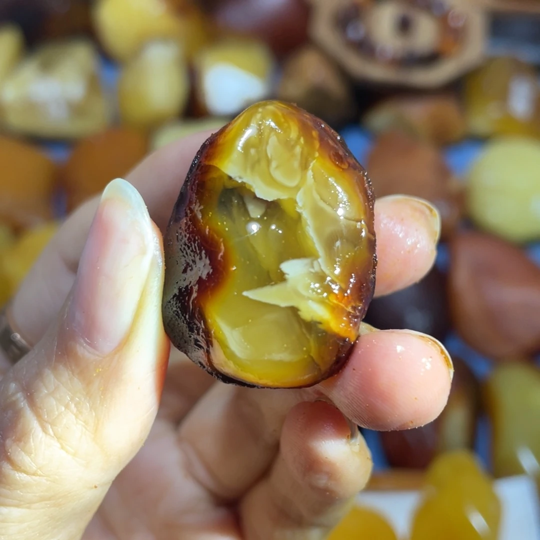 定制蜜蜡未镶嵌波罗的海琥珀蜜蜡原石