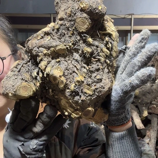 香榧木好***字火琉璃的毛料摆件