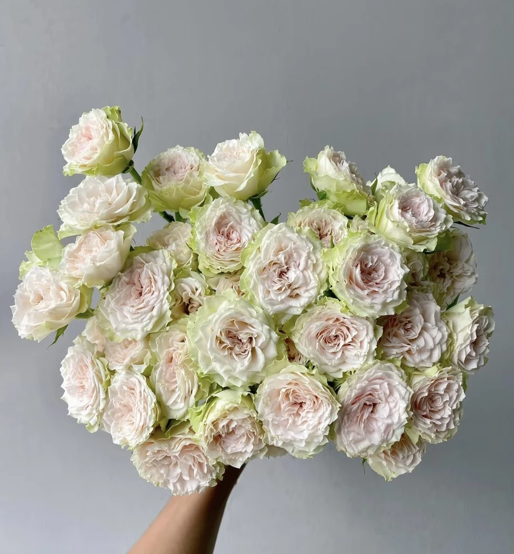 【10枝多头踏春来】全场任意两单顺丰冷链包邮，0度以下必拍保温棉！