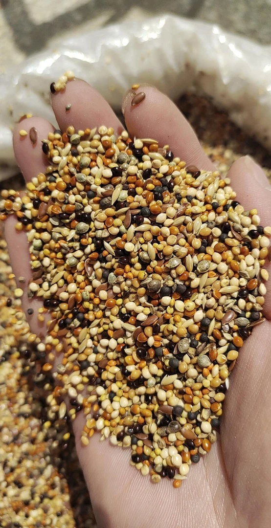 麻料鸟专用混合杂粮颗粒饱满