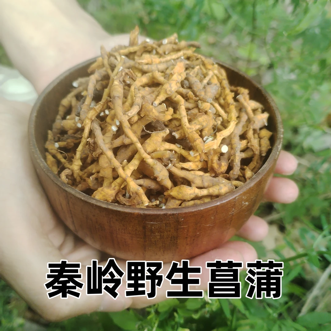 秦岭野生菖蒲正品中药材 无硫菖蒲包邮