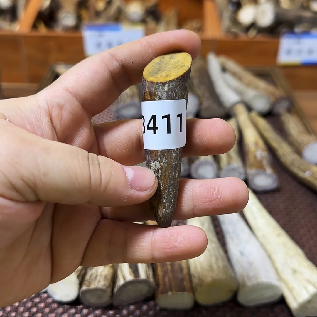 手串/手链鹿骨角尖3411