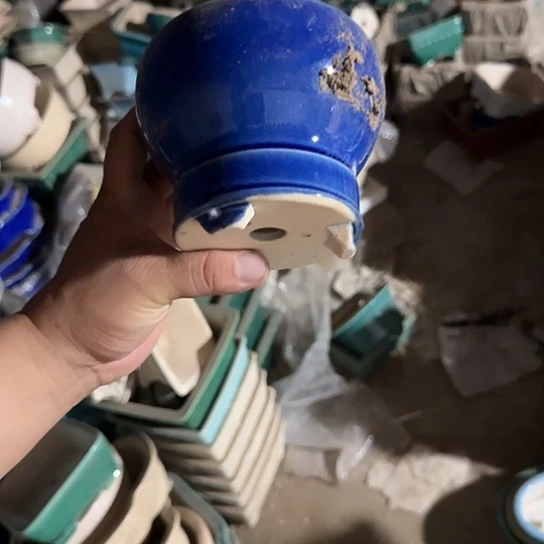 不去看书啊哈是真的想吐是因为真的是