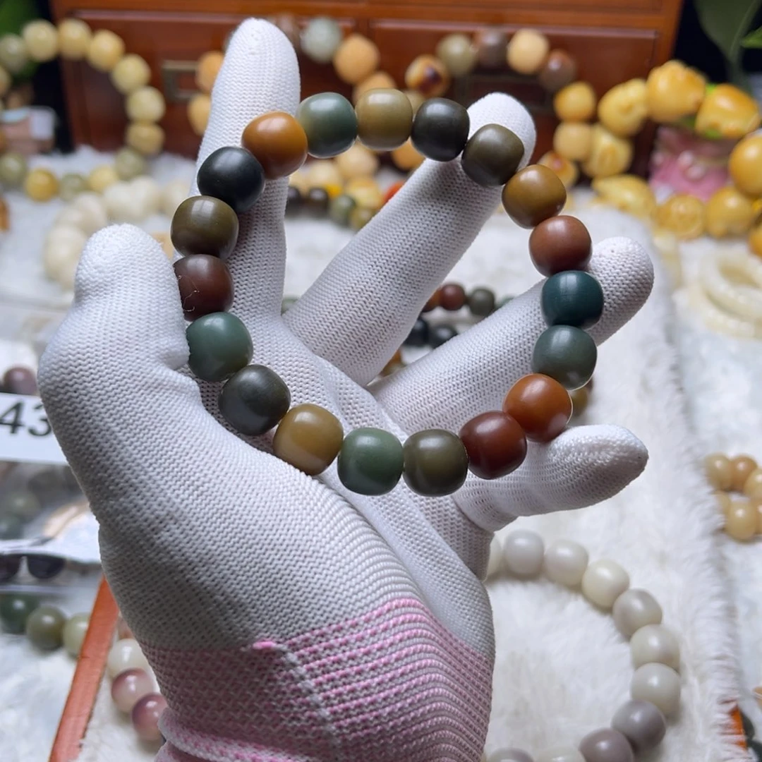 菩提根/象牙果手串魔法森林