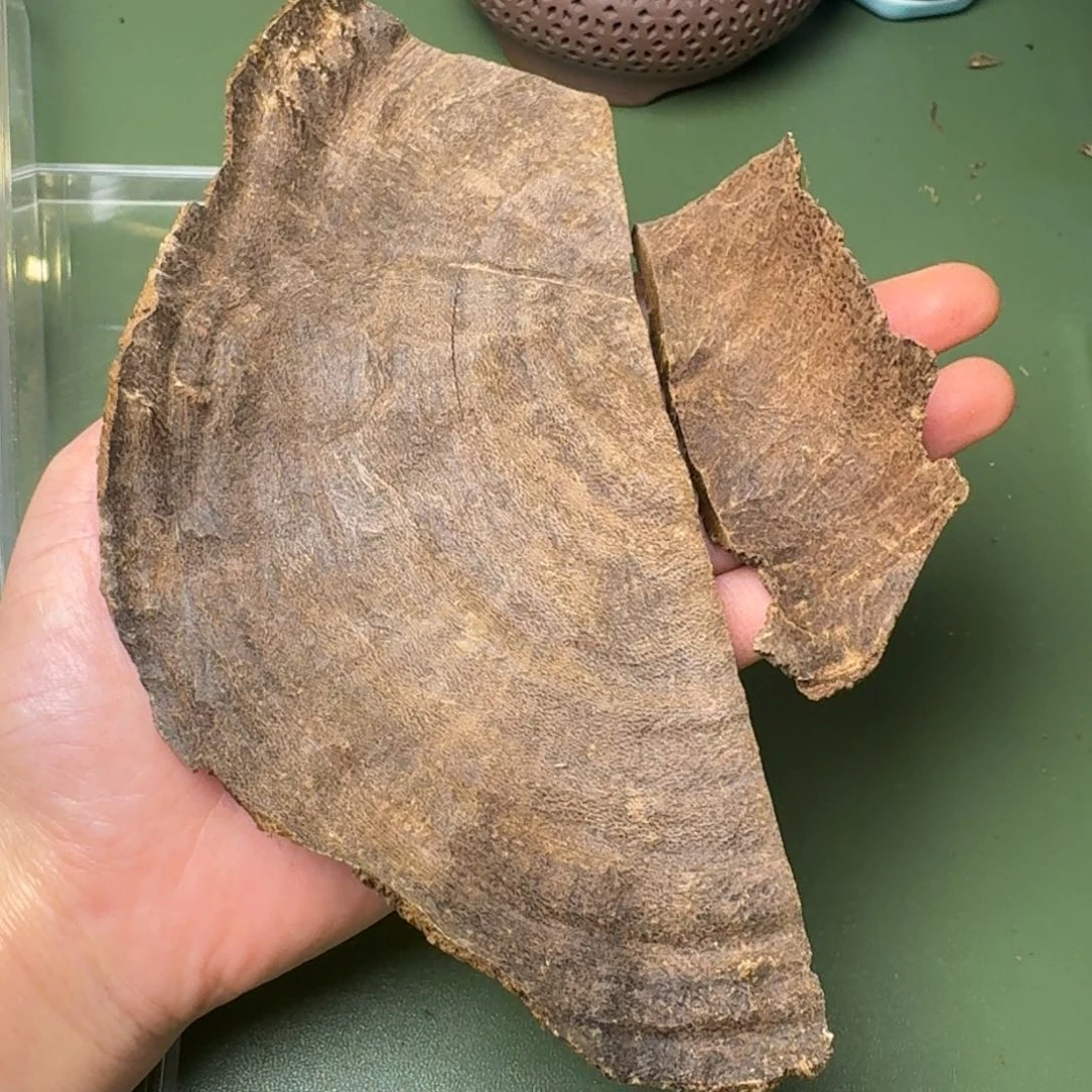 沉香手把件流***N海南天然野尖峰岭百年沉香老顶块料51克