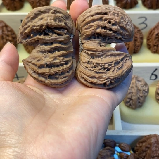 桃核把件东北秋子141